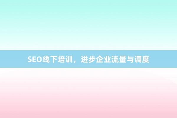 SEO线下培训,进步企业流量与调度