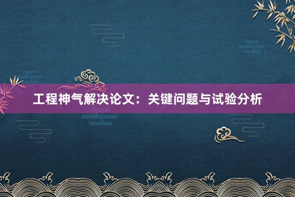 工程神气解决论文：关键问题与试验分析